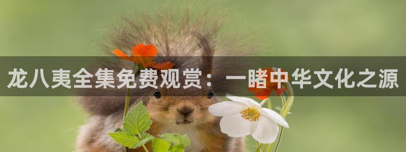 极悦娱乐平台官方网站：龙八夷全集免费观赏：一睹中华文化之源
