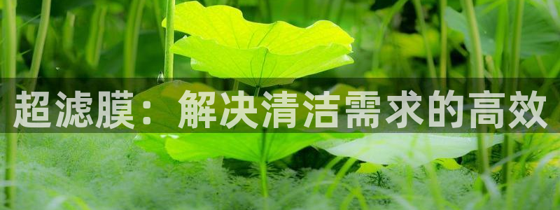 极悦娱乐体育热门赛事有哪些：超滤膜：解决清洁需求的高效