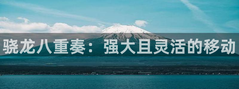 www.极悦娱乐体育.com：骁龙八重奏：强大且灵活的移动