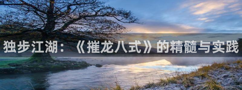 极悦娱乐凯捷平台注册链接：独步江湖：《摧龙八式》的精髓与实践