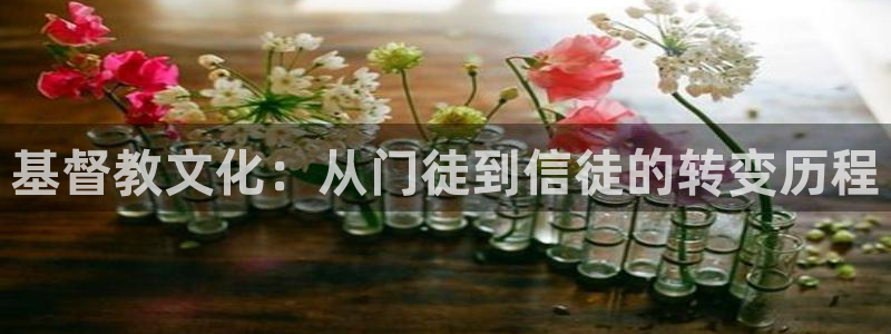 极悦娱乐quan28.cc：基督教文化：从门徒到信徒的转变历程