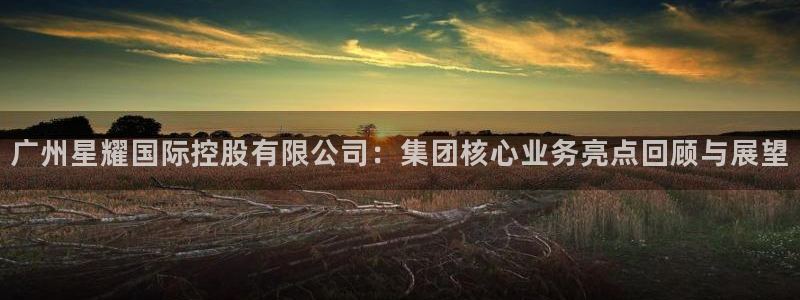 佛山市南海极悦娱乐机电仪器有限公司：广州星耀国际控股有限公司：集团核心业务亮点回