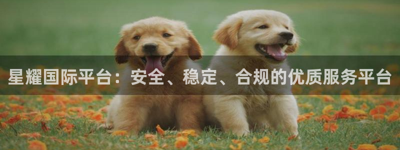 极悦娱乐游戏官网版：星耀国际平台：安全、稳定、合规的优质服务平台