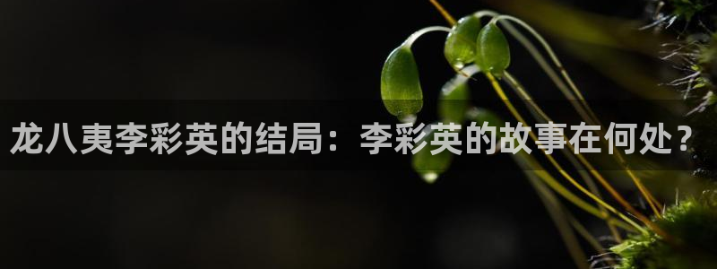 极悦娱乐娱乐：龙八夷李彩英的结局：李彩英的故事在何处？