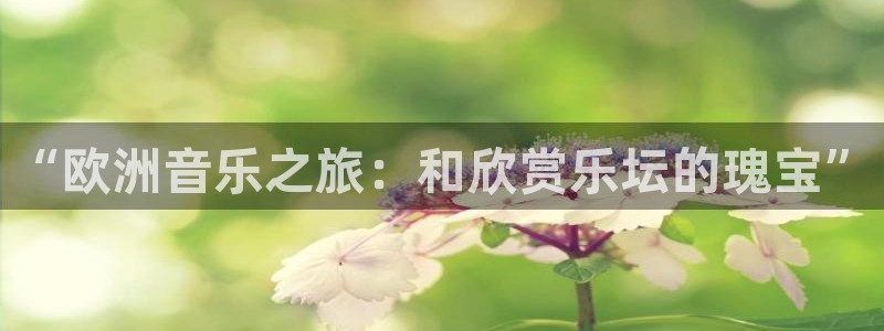 极悦娱乐.ccm苹果版：“欧洲音乐之旅：和欣赏乐坛的瑰宝”