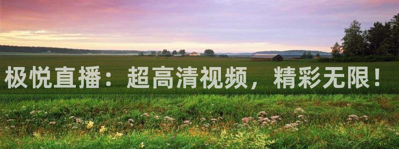 极悦娱乐游戏有哪些好玩的：极悦直播：超高清视频，精彩无限！