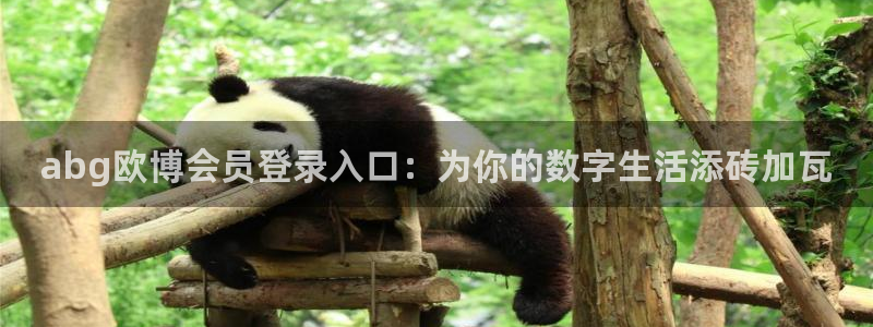 极悦娱乐能源：abg欧博会员登录入口：为你的数字生活添砖加瓦