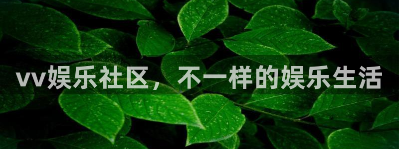 极悦娱乐f凯捷注册：vv娱乐社区，不一样的娱乐生活