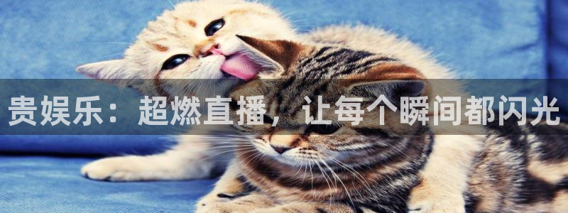 极悦娱乐体育官网登录：贵娱乐：超燃直播，让每个瞬间都闪光