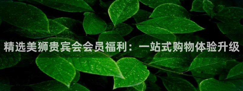 极悦娱乐app哪个模式容易赢：精选美狮贵宾会会员福利：一站式购物体验升级