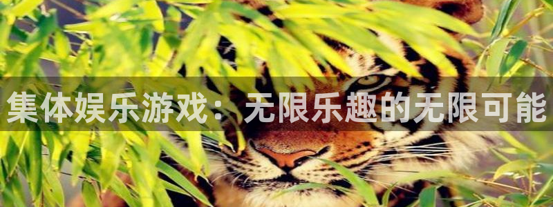 极悦娱乐app 是什么：集体娱乐游戏：无限乐趣的无限可能