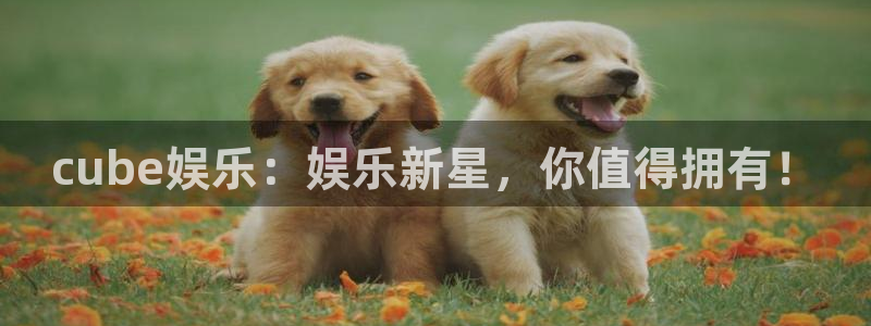 极悦娱乐平台：cube娱乐：娱乐新星，你值得拥有！