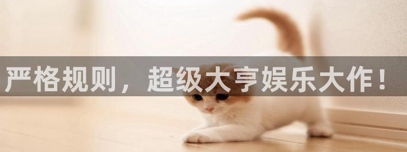 极悦娱乐电玩网官网入口：严格规则，超级大亨娱乐大作！