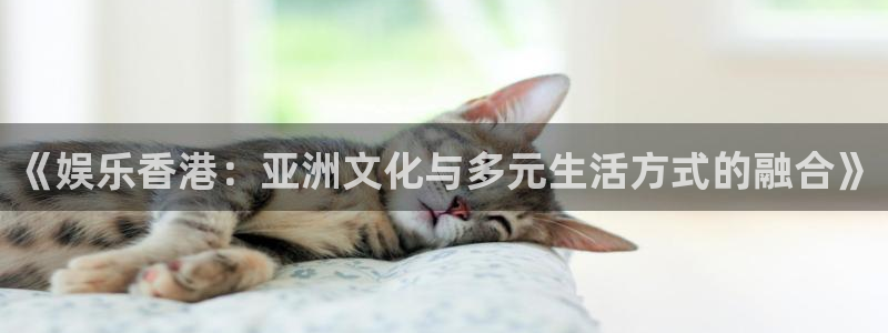 极悦娱乐包怎么样：《娱乐香港：亚洲文化与多元生活方式的融合》
