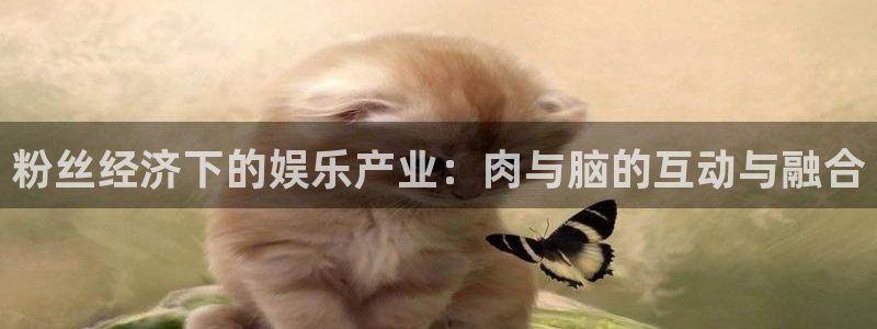 极悦娱乐平台注册：粉丝经济下的娱乐产业：肉与脑的互动与融合