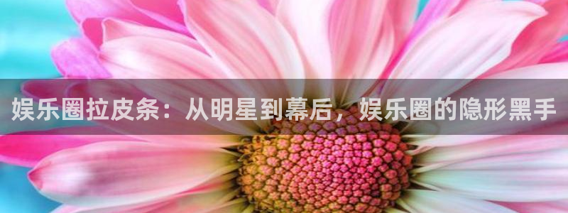 极悦娱乐体育app下载：娱乐圈拉皮条：从明星到幕后，娱乐圈的隐形黑手