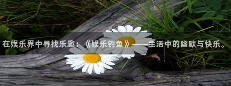 苹果版极悦娱乐下载安装：在娱乐界中寻找乐趣：《娱乐钓鱼》——生活中的幽默与快乐。