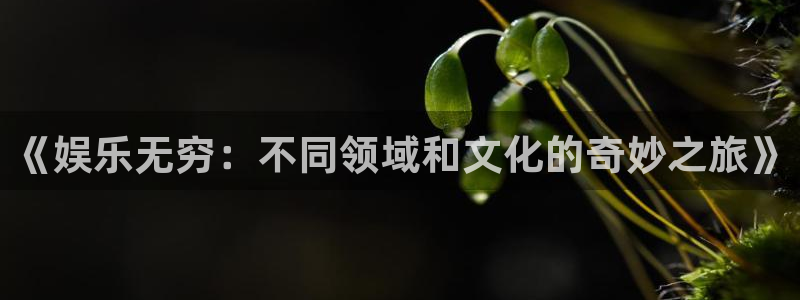 极悦娱乐网页版登：《娱乐无穷：不同领域和文化的奇妙之旅》