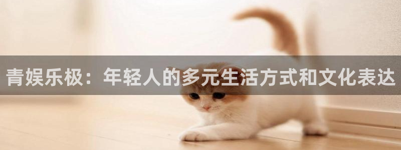极悦娱乐体育1招商：青娱乐极：年轻人的多元生活方式和文化表达