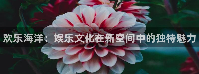 极悦娱乐下载入口：欢乐海洋：娱乐文化在新空间中的独特魅力