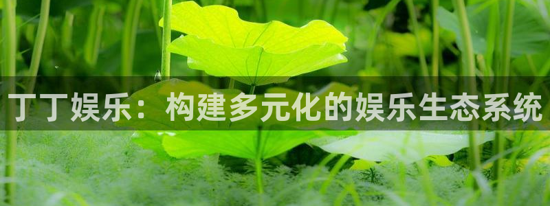 极悦娱乐.ccm官网版：丁丁娱乐：构建多元化的娱乐生态系统