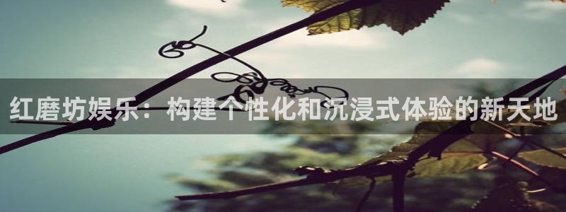 极悦娱乐官网：红磨坊娱乐：构建个性化和沉浸式体验的新天地