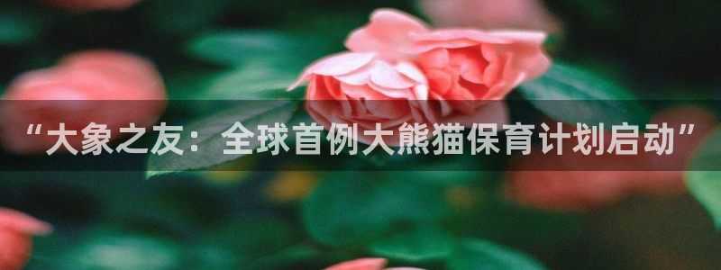 极悦娱乐是啥：“大象之友：全球首例大熊猫保育计划启动”
