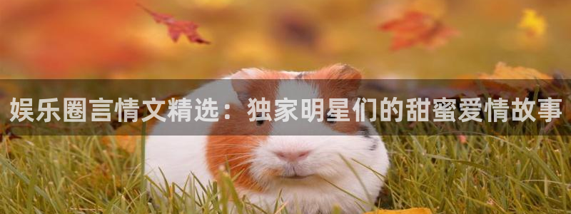 极悦娱乐官方网站：娱乐圈言情文精选：独家明星们的甜蜜爱情故事