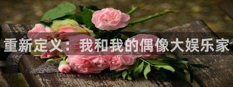 极悦娱乐加拿大下载：重新定义：我和我的偶像大娱乐家