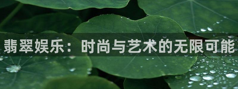 极悦娱乐体育代理：翡翠娱乐：时尚与艺术的无限可能