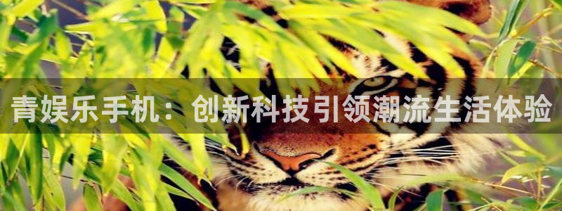 南宫极悦娱乐官网下载链接：青娱乐手机：创新科技引领潮流生活体验