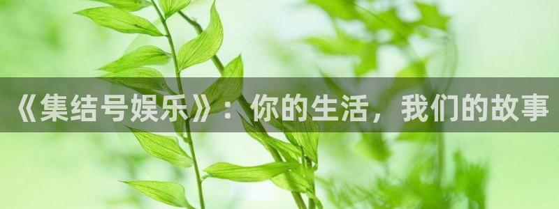 极悦娱乐体育合法嘛：《集结号娱乐》：你的生活，我们的故事