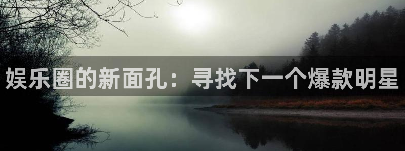 极悦娱乐集团：娱乐圈的新面孔：寻找下一个爆款明星