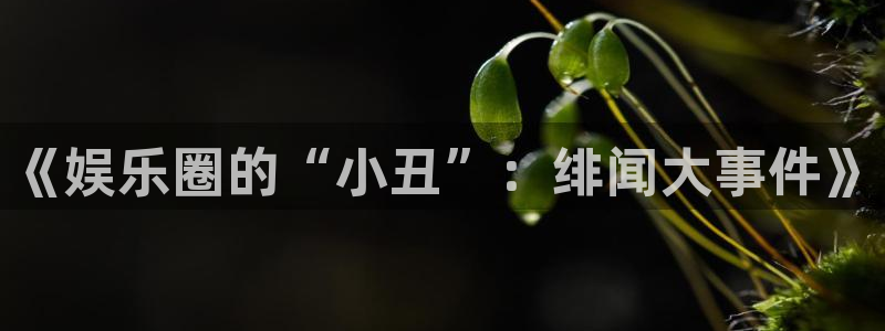 极悦娱乐下载链接是多少：《娱乐圈的“小丑”：绯闻大事件》