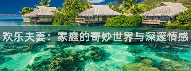 极悦娱乐体育2：欢乐夫妻：家庭的奇妙世界与深邃情感