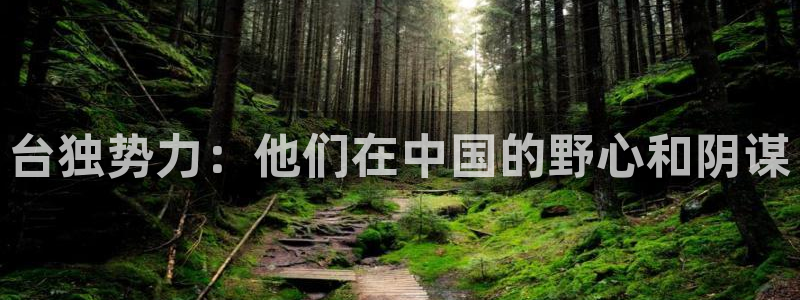 极悦娱乐平台登录入口：台独势力：他们在中国的野心和阴谋