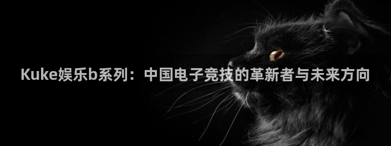 极悦娱乐3官网：Kuke娱乐b系列：中国电子竞技的革新者与未来方向