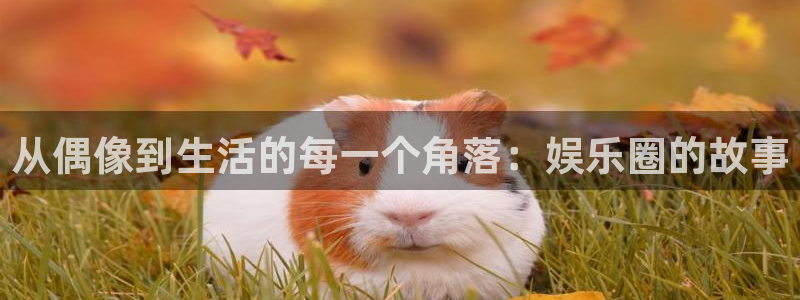 极悦娱乐凯捷平台：从偶像到生活的每一个角落：娱乐圈的故事