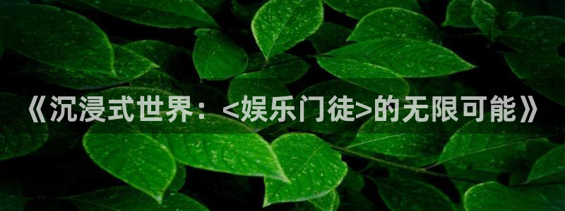 极悦娱乐3代理：《沉浸式世界：<娱乐门徒>的无限可能》